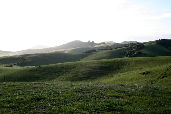 IMG 0568