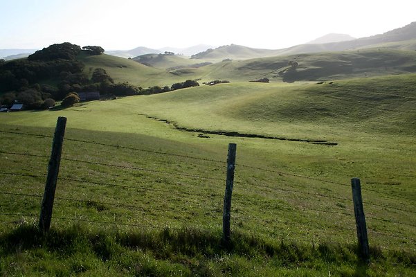 IMG 0574