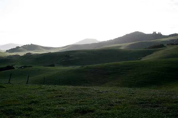 IMG 0569