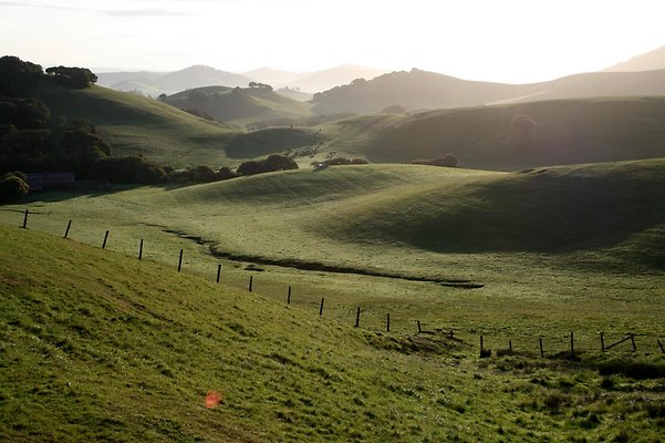 IMG 0557