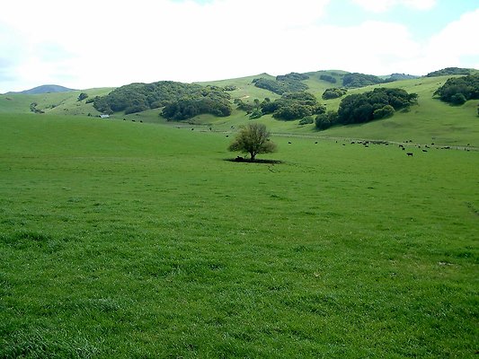 DSCF0418
