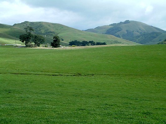 DSCF0415