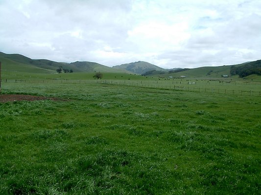 6. fields
