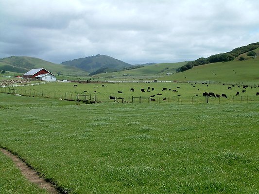 DSCF0409