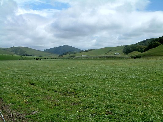 DSCF0393