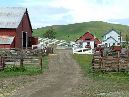 DSCF0391