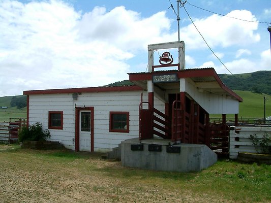 5. corrals,pens,chutes