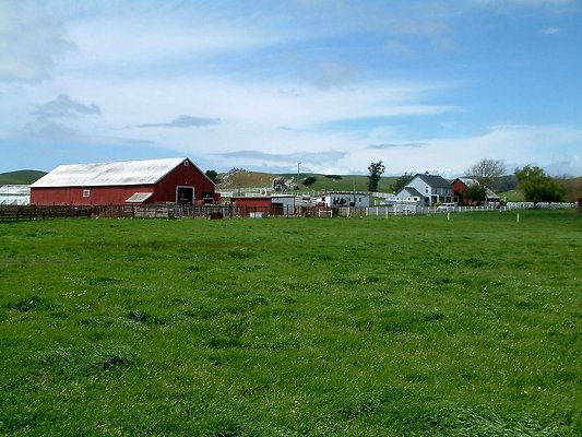 DSCF0394