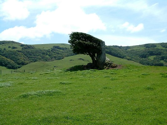DSCF0405