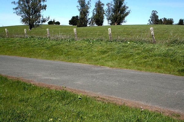IMG 2783