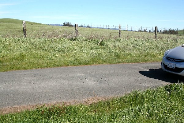IMG 2785