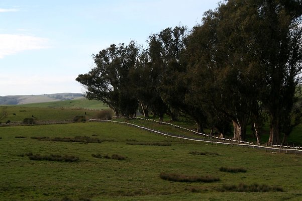 4. Marsh Rd.
