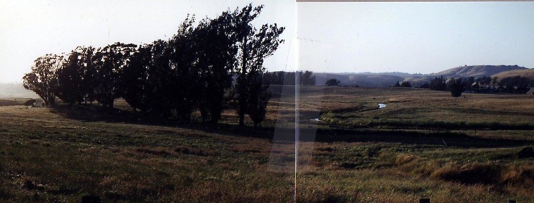Marsh Rd002