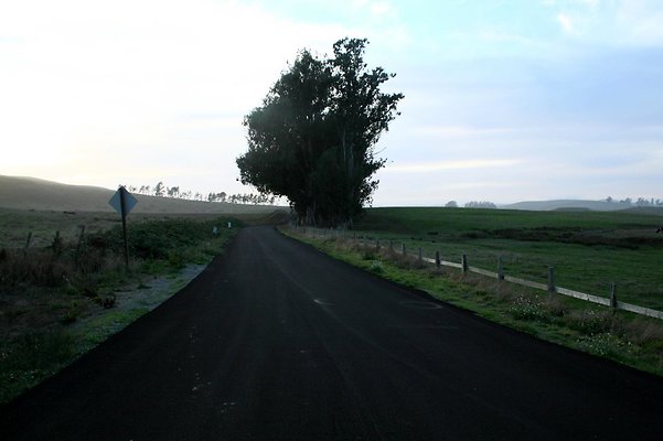 IMG 2556