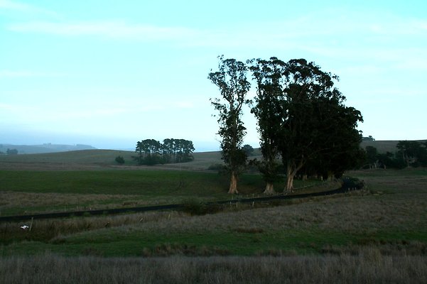 Marsh Rd- misc.