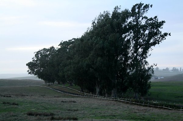 IMG 2557