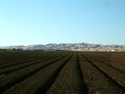 1. Dry Central Valley hills near Los Banos