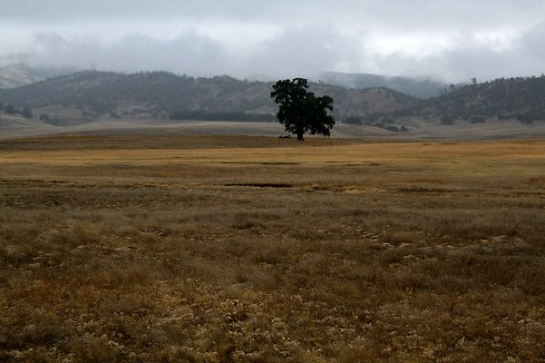 IMG 7508