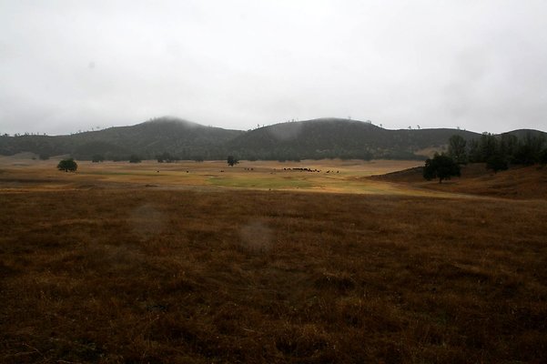 IMG 7514
