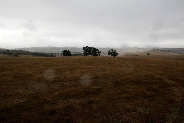 IMG 7512