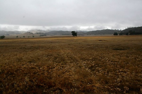 IMG 7507
