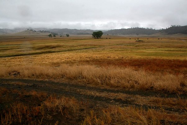 IMG 7503
