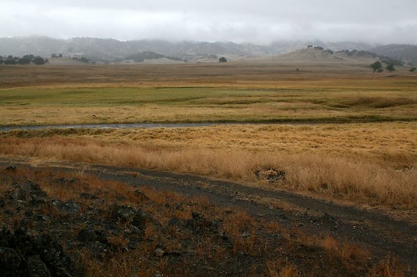IMG 7499