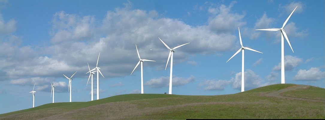 Windmill pan 5