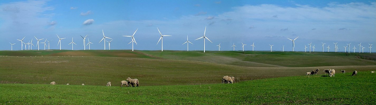 Windmill Pan 4