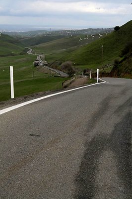 IMG 0226