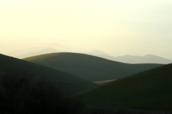 view to Diablo from Flynn Rd, Altamont