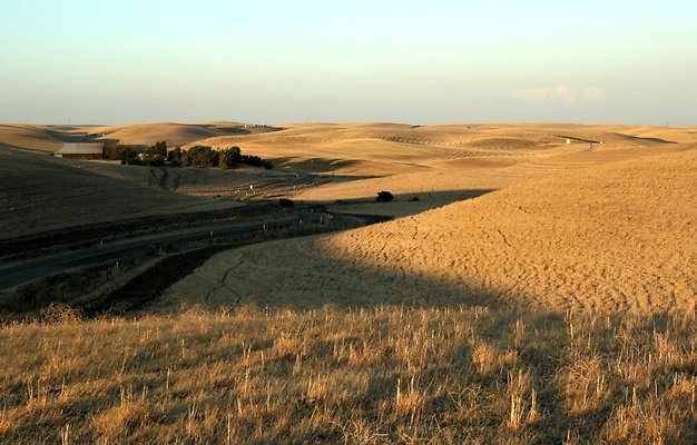 2. Jeannie McCormick Ranch - Montezuma Hills in Delta