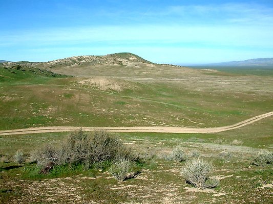 Hillside-pan-NW