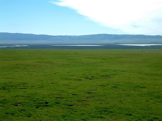 WallaceCk-Pan1-SW