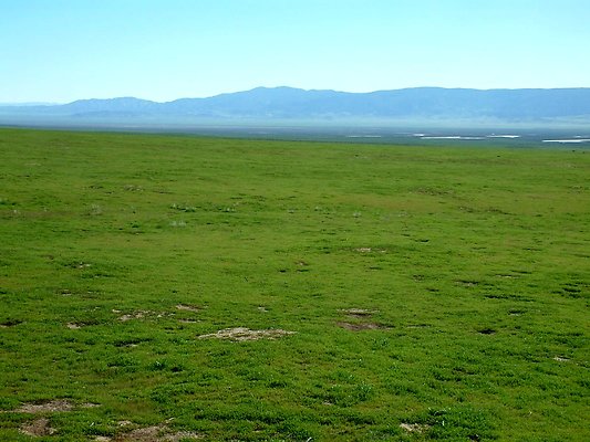 WallaceCk-Pan1-SSW