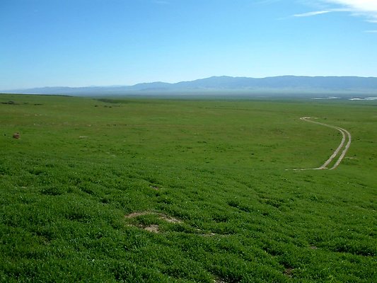 WallaceCreek