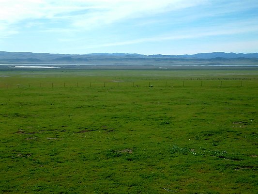 WallaceCk-Pan1-WSW