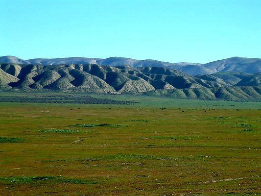 Traver Ranch Old Site