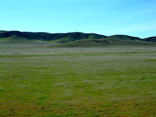 Flat-Pan-SW