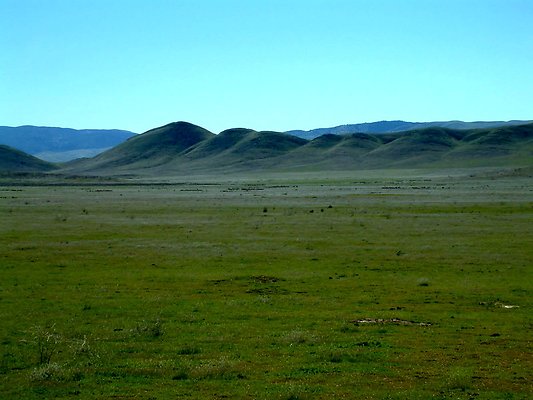 Flat-Pan-S