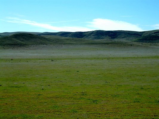 Flat-Pan-SSW