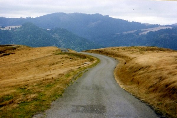 Bear Ridge Rd003