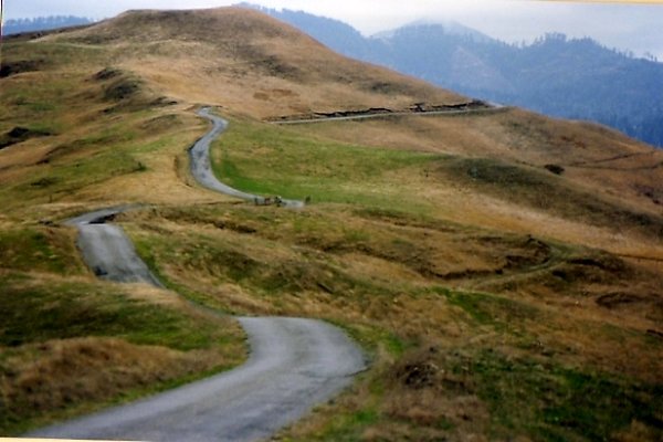 Bear Ridge Rd001