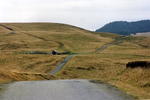 Bear Ridge Rd004