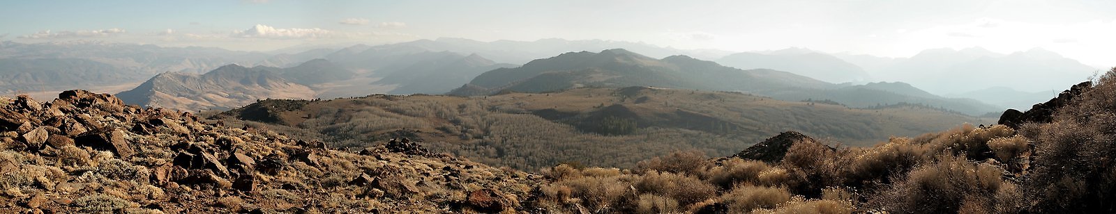 Monitor Pass pan 11