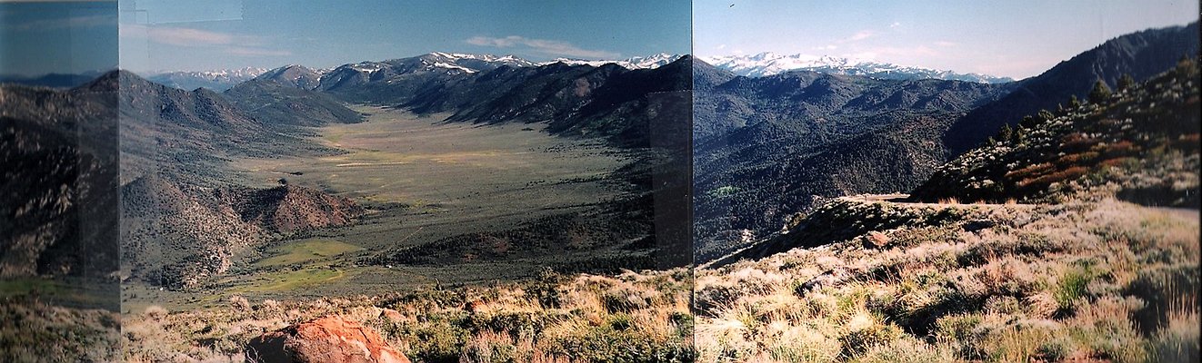 monitor pass 016