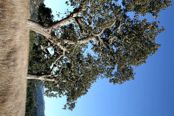 IMG 0178