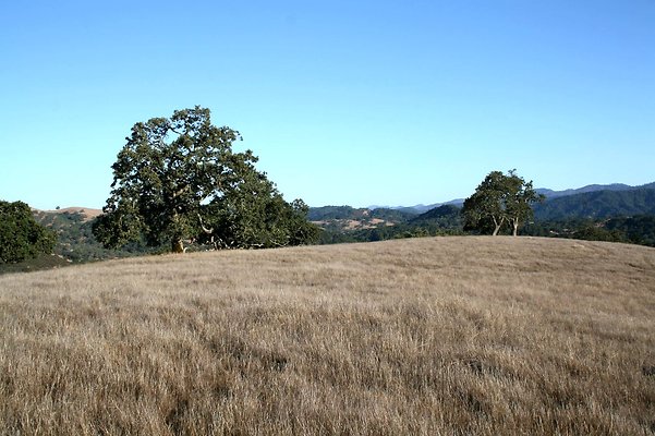 IMG 0172
