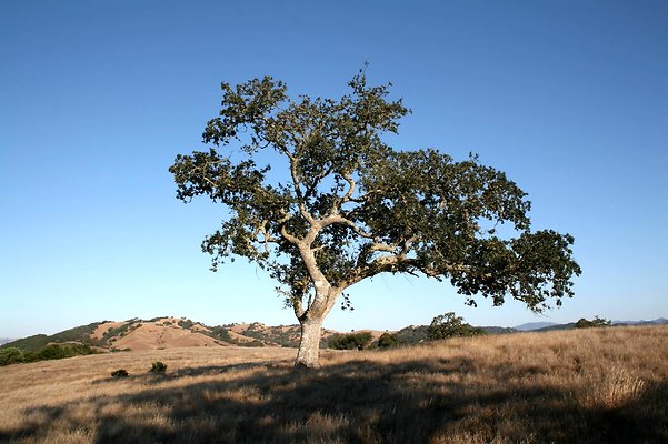 IMG 0165