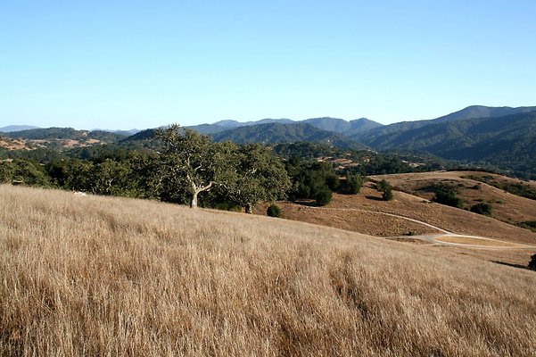 IMG 0183